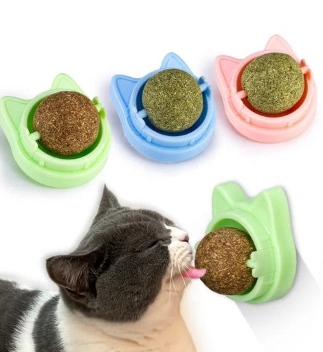 Katės žaislas su katžolė